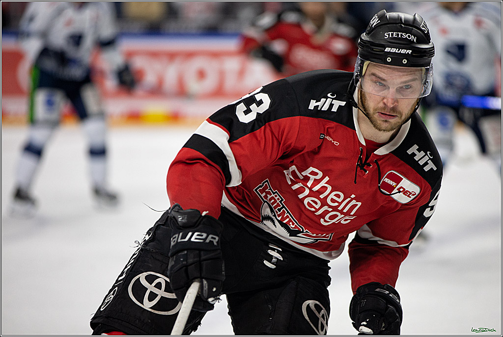 PENNY DEL;  Koelner Haie - Straubing Tigers; Koeln, 11.03.2022